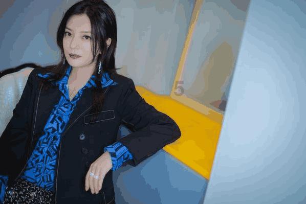组装机械机甲暴龙2